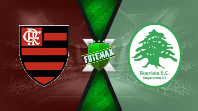 Assistir Flamengo x Boavista ao vivo online HD 12/01/2025